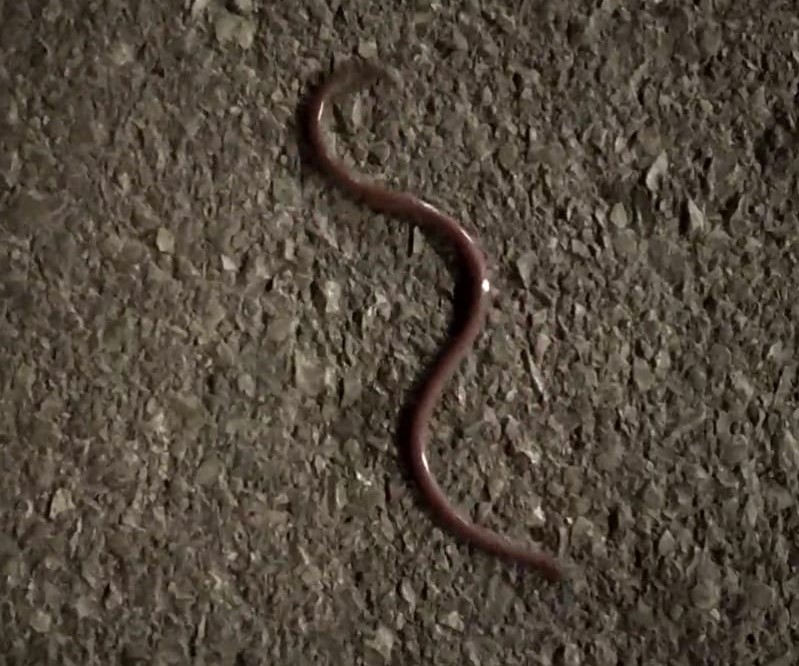 e5dff860-2bf8-4fcc-9e7f-6bfa9a07c7d2 - Copy.jpg.jpg